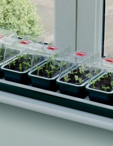 Garland Super 7 Electric Windowsill Propagator 76 x 18.5 x 15cm 13 Watt