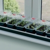 Garland Super 7 Electric Windowsill Propagator 76 x 18.5 x 15cm 13 Watt